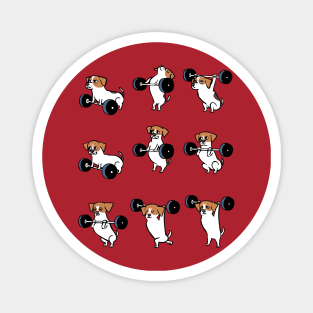 OLYMPIC LIFTING  Jack Russell Terrier Magnet